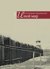Густав Герлинг-Грудзиньский - Иной мир. Советские записки