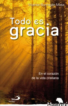 Vicente Borragán Mata Todo es gracia обложка книги