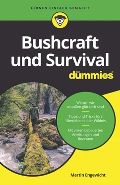 Martin Engewicht Bushcraft und Survival für Dummies обложка книги