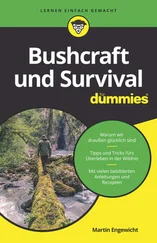 Martin Engewicht - Bushcraft und Survival für Dummies