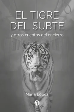 María López El Tigre del Subte обложка книги