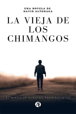 David Rodolfo Altonaga La Vieja de los Chimangos обложка книги