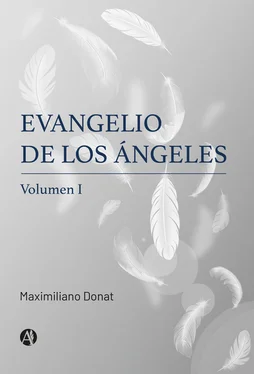 Maximiliano Donat Evangelio de los Ángeles обложка книги