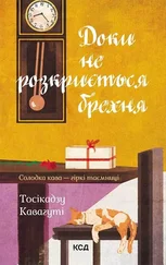Тосікадзу Кавагуті - Доки не розкриється брехня