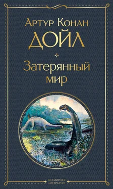 Артур Конан Дойл Затерянный мир обложка книги