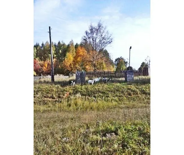 Вера Петровна спала плохо то и дело ворочалась и так вздыхала что муж - фото 3