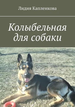 Лидия Капленкова Колыбельная для собаки обложка книги