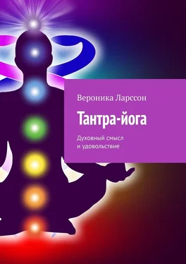 Вероника Ларссон Тантра-йога. Духовный смысл и удовольствие обложка книги