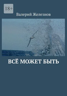 Валерий Железнов Всё может быть обложка книги