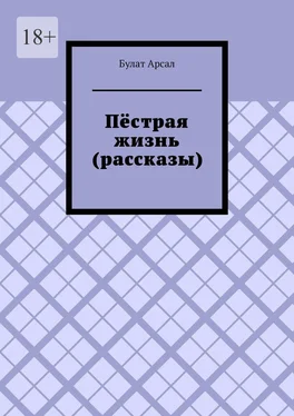 Булат Арсал Пёстрая жизнь (рассказы) обложка книги