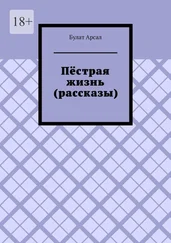 Булат Арсал - Пёстрая жизнь (рассказы)