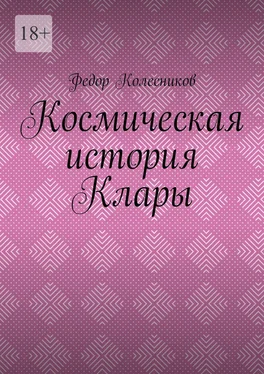 Федор Колесников Космическая история Клары обложка книги