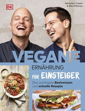 Niko Rittenau Vegane Ernährung für Einsteiger обложка книги