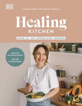 Shabnam Rebo Healing Kitchen – gesund mit anti-entzündlicher Ernährung обложка книги
