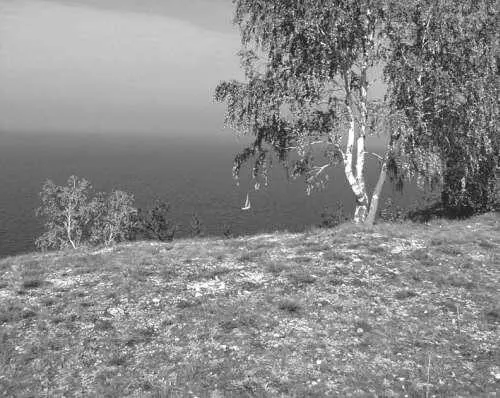 Фотография Молодецкий курган на Волге пациент Е 38 лет По мнению - фото 13