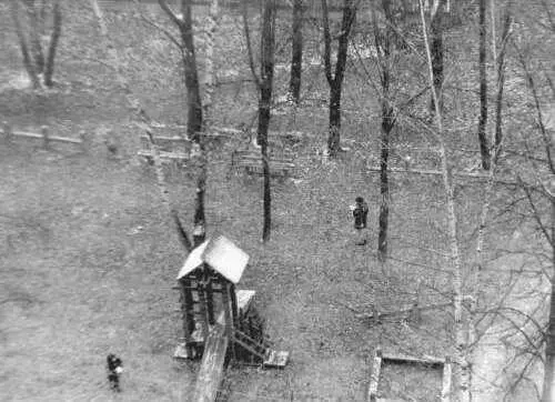 Фотография Вид из окна кухни Фотография Подмосковье таволга Понимаю - фото 38
