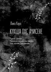 Дика Кара - Кукҫа пуҫ Ачисене. Пурнӑҫ ҫинчен. Пурнӑҫри пахалӑхсем ҫинчен. Тата, паллах, Ҫил ҫинчен
