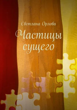 Светлана Орлова Частицы сущего. Сборник стихотворений обложка книги