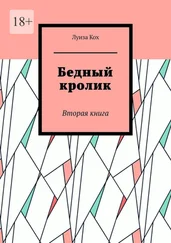 Луиза Кох - Бедный кролик. Вторая книга