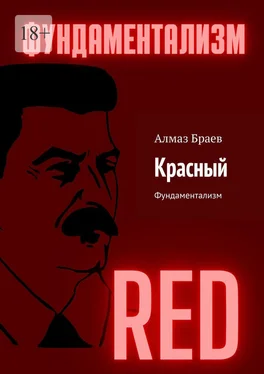 Алмаз Браев Красный. Фундаментализм обложка книги