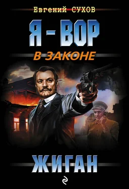 Евгений Сухов Жиган обложка книги