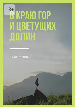 Иван Царицын В краю гор и цветущих долин обложка книги