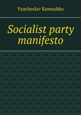 Vyacheslav Komashko Socialist party manifesto обложка книги