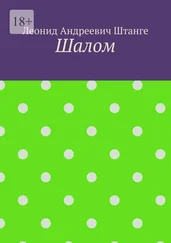 Леонид Штанге - Шалом