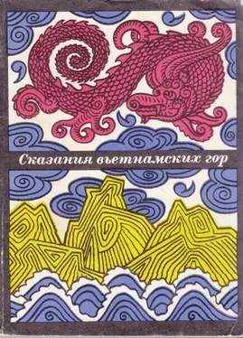 Автор неизвестен Эпосы, мифы, легенды и сказания Сказания вьетнамских гор обложка книги