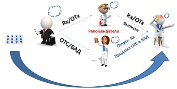 Структура полевых отделов компаний Часто функционал менеджеров первой и - фото 13