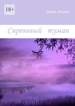 Лидия Лехмус Сиреневый туман обложка книги