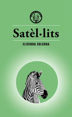 Elisenda Solsona Satèl·lits обложка книги