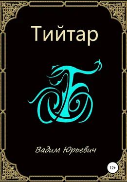 Вадим Б. Тийтар обложка книги