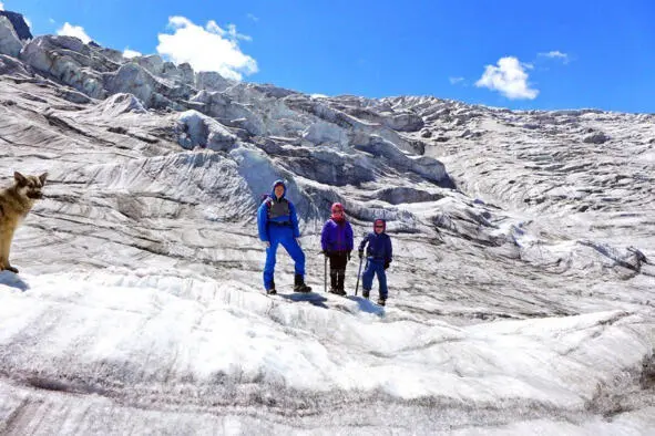 Апофеоз поездки радиальный выход на Софийский ледник в компании с Чебуреком - фото 1