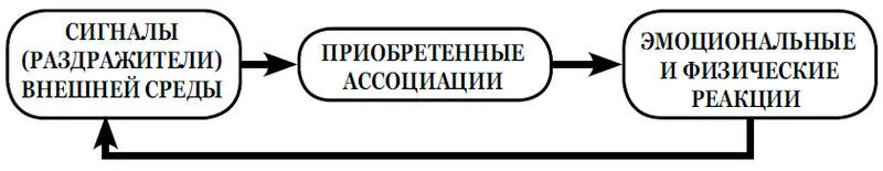 Схема 11 Механизм формирования условных рефлексов проще объяснить на примере - фото 2