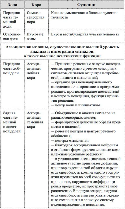 Получаемая от сенсорных систем информация объединяется в ассоциативной теменной - фото 5