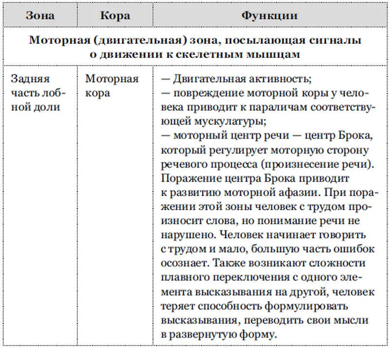 Получаемая от сенсорных систем информация объединяется в ассоциативной теменной - фото 6