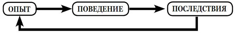 Схема 15 В случае с негативным подкреплением человек стремится устранить или - фото 10