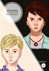 Екатерина Дмитриева - Хроники Джанфрокстона. Начало