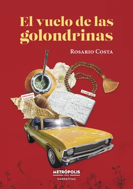 Rosario Costa El vuelo de las golondrinas обложка книги