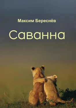 Максим Береснёв Саванна. Книга 2 обложка книги