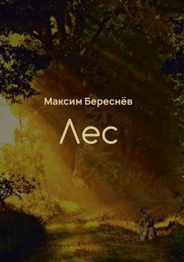 Максим Береснёв Лес. Книга 1 обложка книги