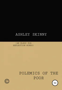 Ashley Skinny Polemics of The Poor обложка книги