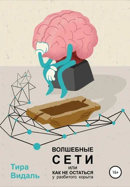 Тира Видаль Волшебные сети, или Как не остаться у разбитого корыта обложка книги