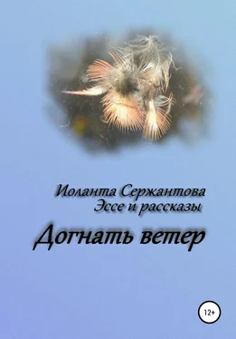 Иоланта Сержантова Догнать ветер обложка книги