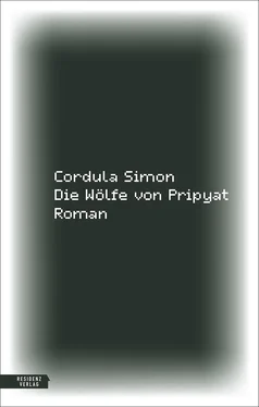 Cordula Simon Die Wölfe von Pripyat обложка книги