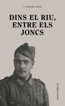 Antoni Munné-Jordà Dins el riu, entre els joncs обложка книги