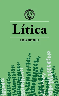 Lucia Pietrelli Lítica обложка книги