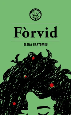 Elena Bartomeu Fòrvid обложка книги