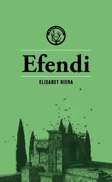 Elisabet Riera Efendi обложка книги